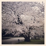 IMG_20120417_174223.jpg