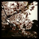 IMG_20120418_181659.jpg